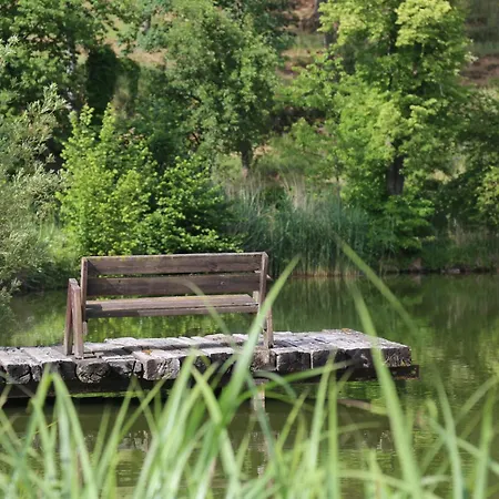 Am Buechlhof Im Oberpfaelzer Seenland Apartmán Neunburg vorm Wald