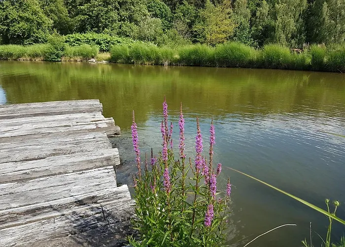 アパート Am Buechlhof Im Oberpfaelzer Seenland